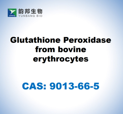 CAS 9013-66-5 Περοξειδάση γλουταθειόνης από ερυθροκύτταρα βοοειδών