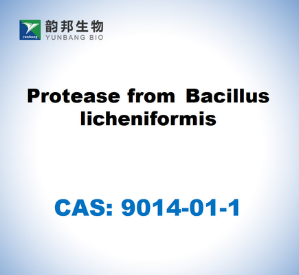 CAS 9014-01-1 Πρωτεάση από το Bacillus Licheniformis