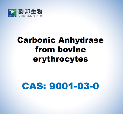 CAS 9001-03-0 Ανυδράση άνθρακα από ερυθροκύτταρα βοοειδών