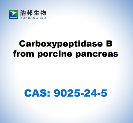 CAS 9025-24-5 Καρβοξυπεπτιδάση Β από πάγκρεας χοίρων