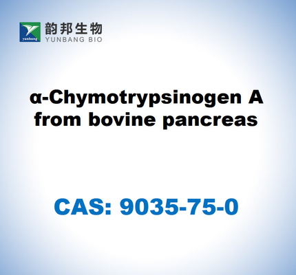 CAS 9035-75-0 α-Χιμοτροπσινογόνο Α από παγκρέας βοοειδών