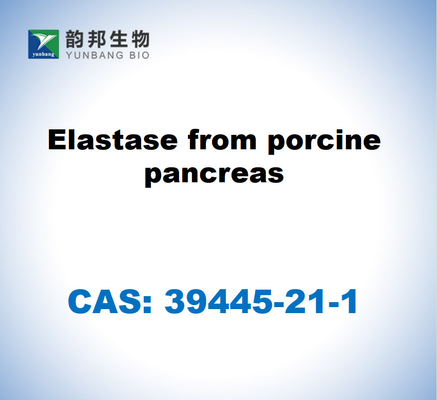 CAS 39445-21-1 Ελαστάση από πάγκρεας χοίρων