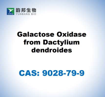 CAS 9028-79-9 Οξειδάση γαλακτόζης από δενδροειδή Dactylium