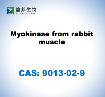 CAS 9013-02-9 Μυοκινάση από μυς κουνελιού