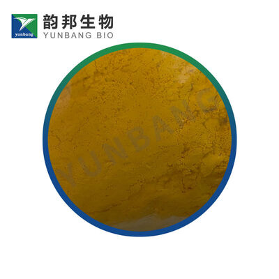 CAS 83-88-5 Ριβοφλαβίνη κατασκευαστής βιολογικών αντιδραστηρίων