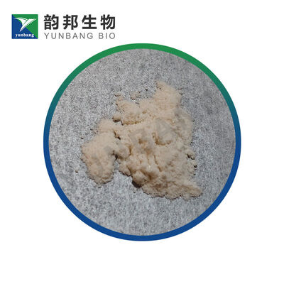 CAS 53-86-1 Βιοχημικό αντιδραστήρα ινδομετακίνης